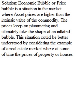 Economic bubble video Assignment